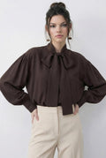 Brown Blouse